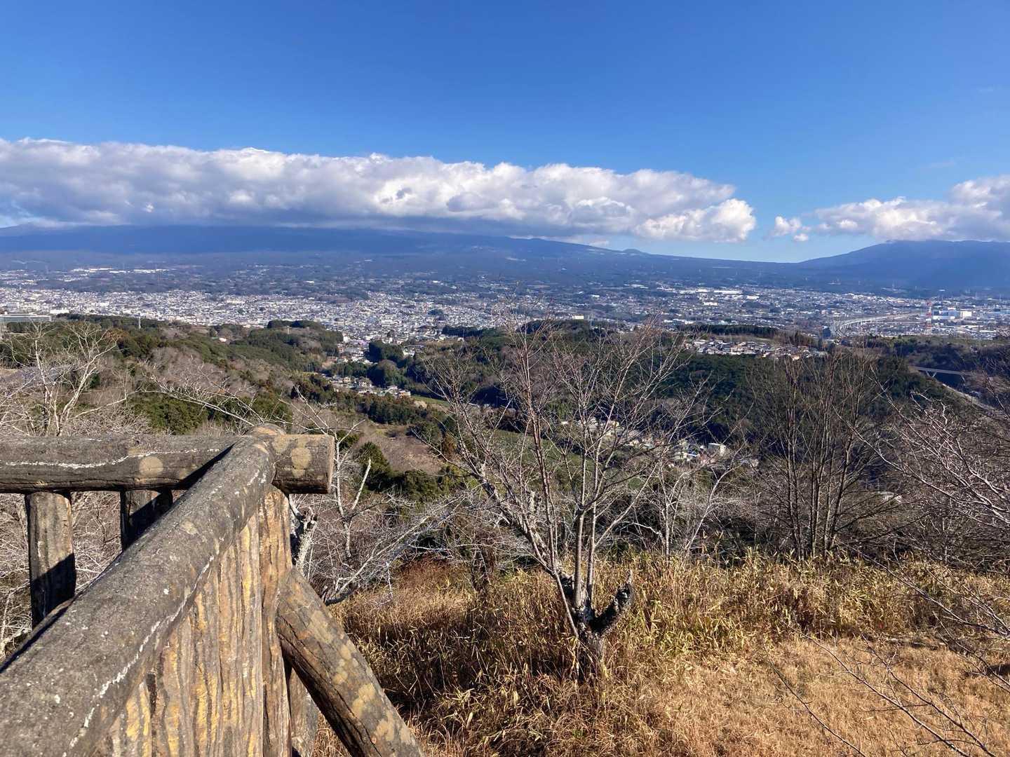 展望台からの街並み