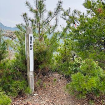 黒田城の見張り櫓跡だそうな。なんもない