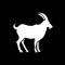 白ヤギ