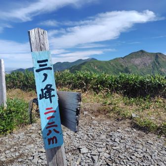 タイムクリアしたので挑戦します