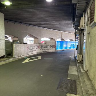 今日は下りとの戦いでした。
平地だと脚は問題なし。
普通に歩けます。