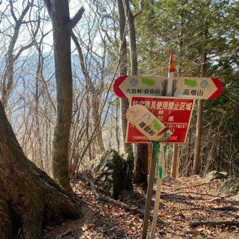 登り切って「山頂か！」って思ったら違かった