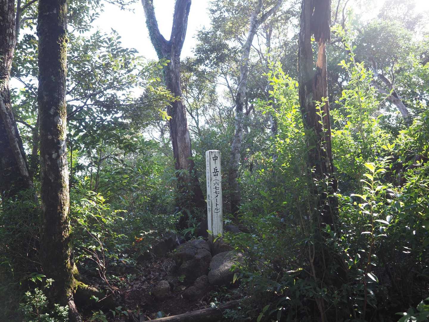 中岳到着！
前岳からのアップダウンにビビって泣きそうだった。
そして、半袖だったけど、びっくりするくらい汗かいてシャツが全面色変わった😂