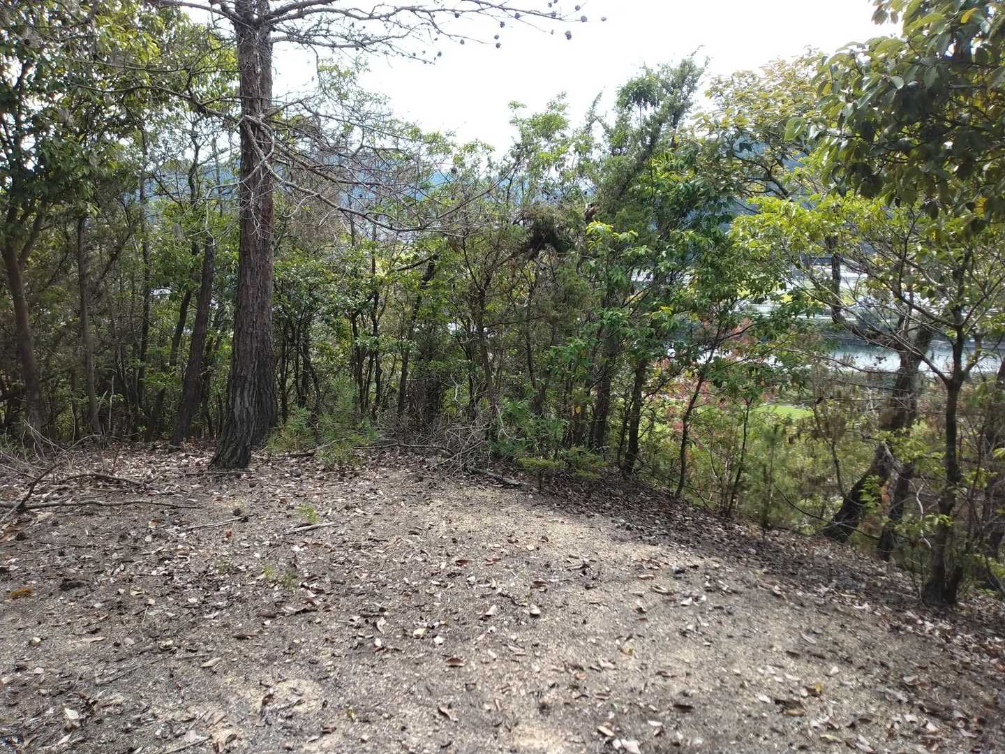 眺望なし