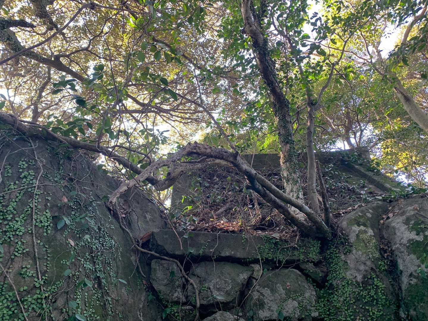 ここも三角点もプレートもなし😅
2ピーク目愛宕山⛰
