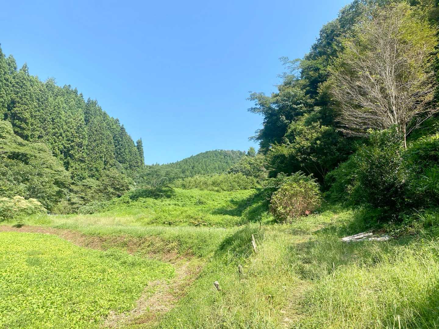 この景色、久しぶりだぁ❣️
さあ、頑張って登って行きましょう🥾