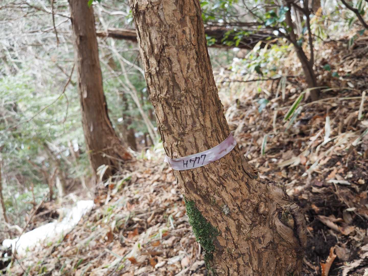 ここ…
標高777㍍なんだ😉👍🏻