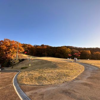 駐車場横は整備された広場