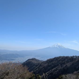 たけ