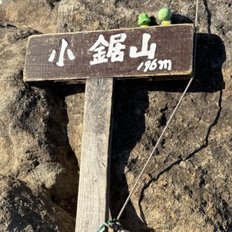 小鋸山登頂