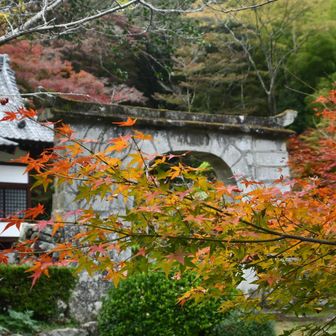 妙相寺境内の紅葉