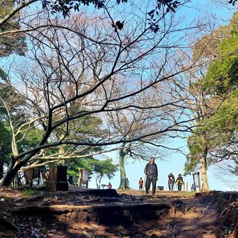 人気の⛰️で必ず人と出会います👍
オオシマサクラは終え木枝のみ💦