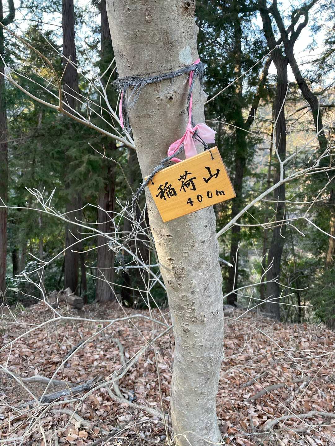 おぉ〜スタンプあるじゃん🙌