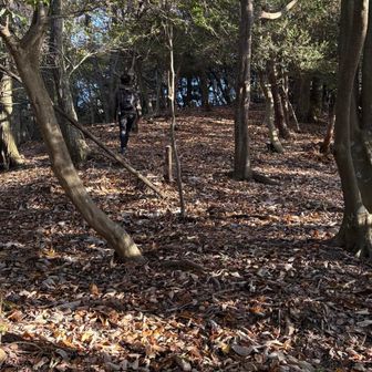 🚶‍♀️⭐️‍🟫⭐️⭐️‍🟫✨️🍄✨️