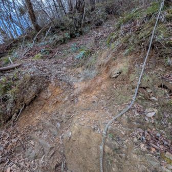桑瀬峠の登り口、年々崩壊してる気がするな。整備はしてくださってるようだけども。