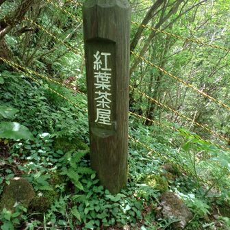 土砂崩れで通行禁止区域