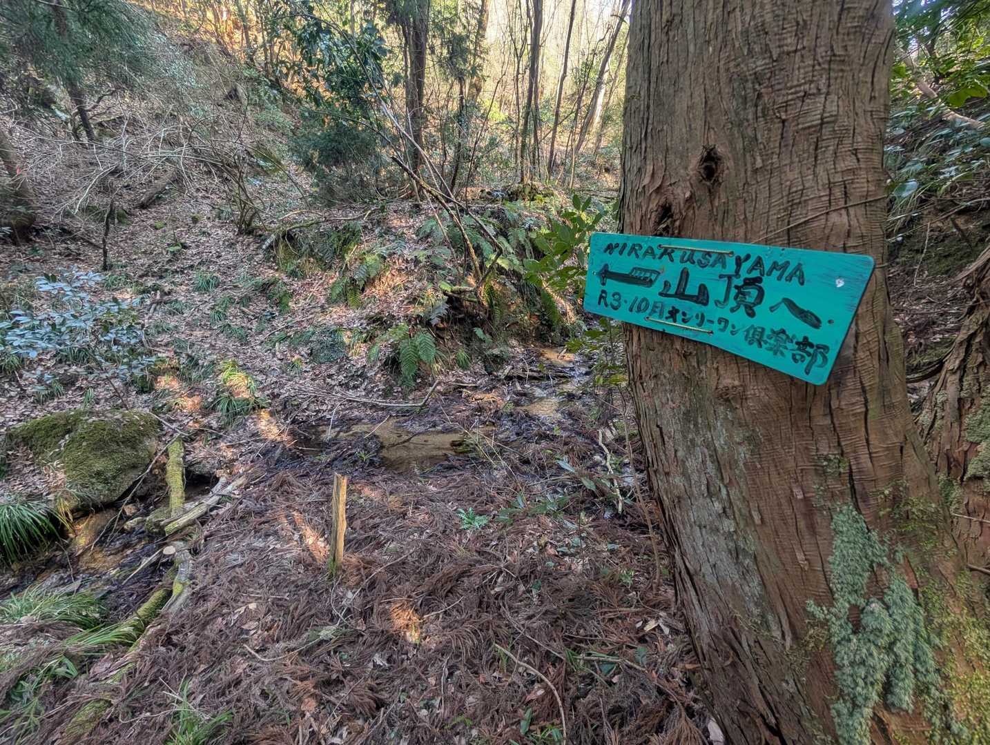 韮草山 往復コースの写真