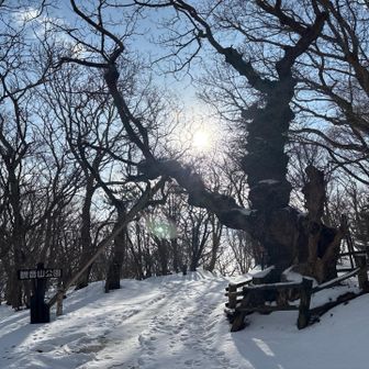 風のせいか樹木🌳の形が面白い
御神木なのかな…