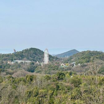モンキーパーク。低学年までは世界一楽しい場所だと思ってたな〜