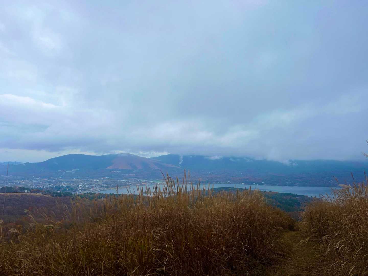 富士山見えず🗻