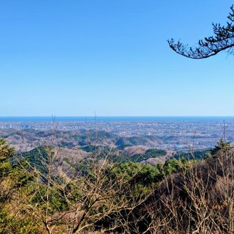 良き眺め✨️
ここから太平洋の水平線が見えるとは思わなかった🤩