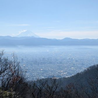 小春日和の春霞みたいな天気だけど富士山は見れました。
この景色をぽけちゃんに見てもらえて良かったです。