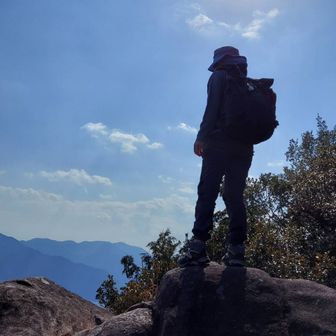 東海子（東北子改め）