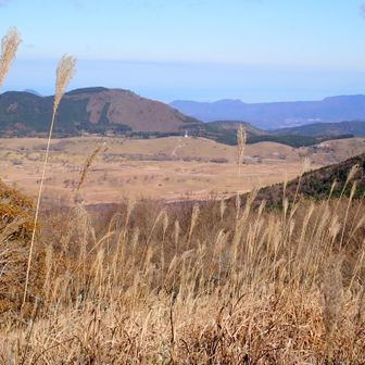枯れ小笹を分けて山頂先へ進むと北に見えた日出生台演習地。
向こうは宇佐百山で登った人見山～鈴ヶ塚山あたりか？