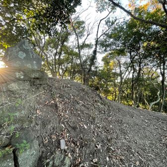 物見塚山
トビ岩で話した前を歩いていた方はとても速くて、もう見えなくなっていた。