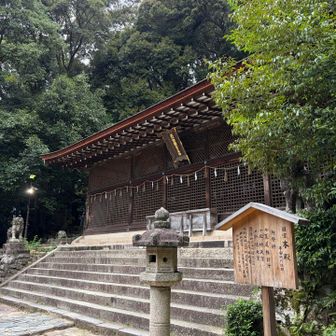 国宝 宇治上神社本殿
境内では今日行われる第75回 宇治茶まつりのお茶席の準備をされていました。