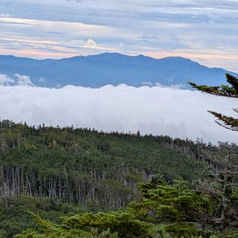 にゅうから金峰山？方面