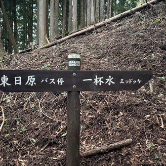 尾根コースの分岐