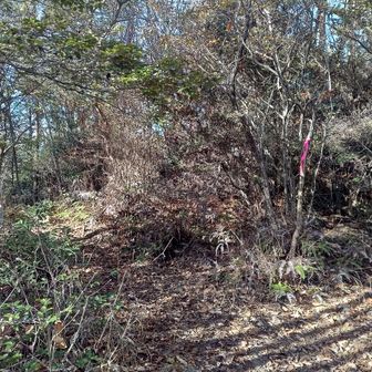 眺望はありません。