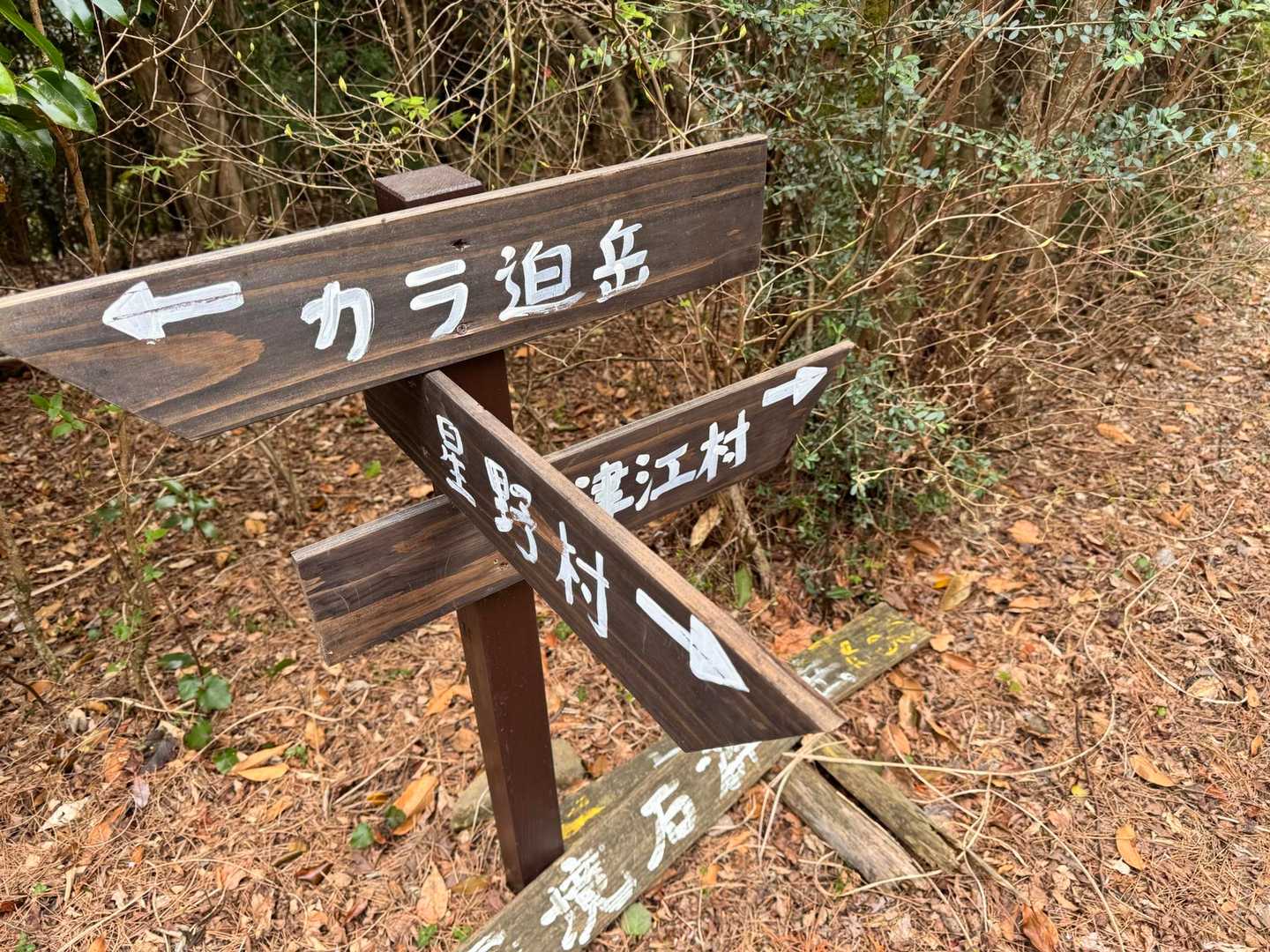 大分との県境で、

いくつも国境石🪨がありました
