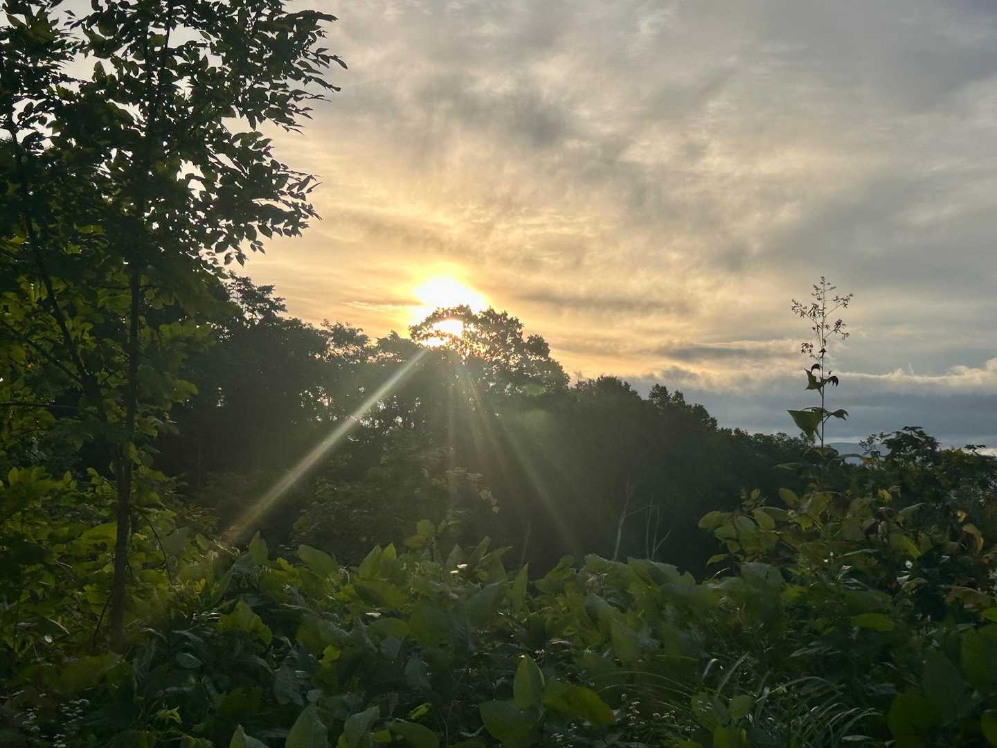 ☀️