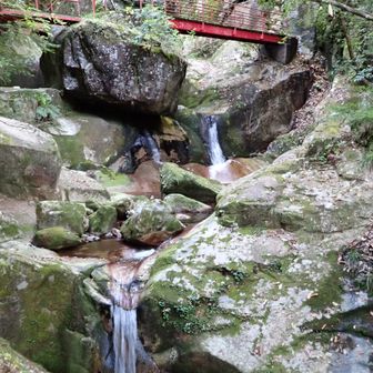 「竜頭の滝」とか「竜門の滝」とか、ほとんどの滝に「竜」の名が付いてる🐉