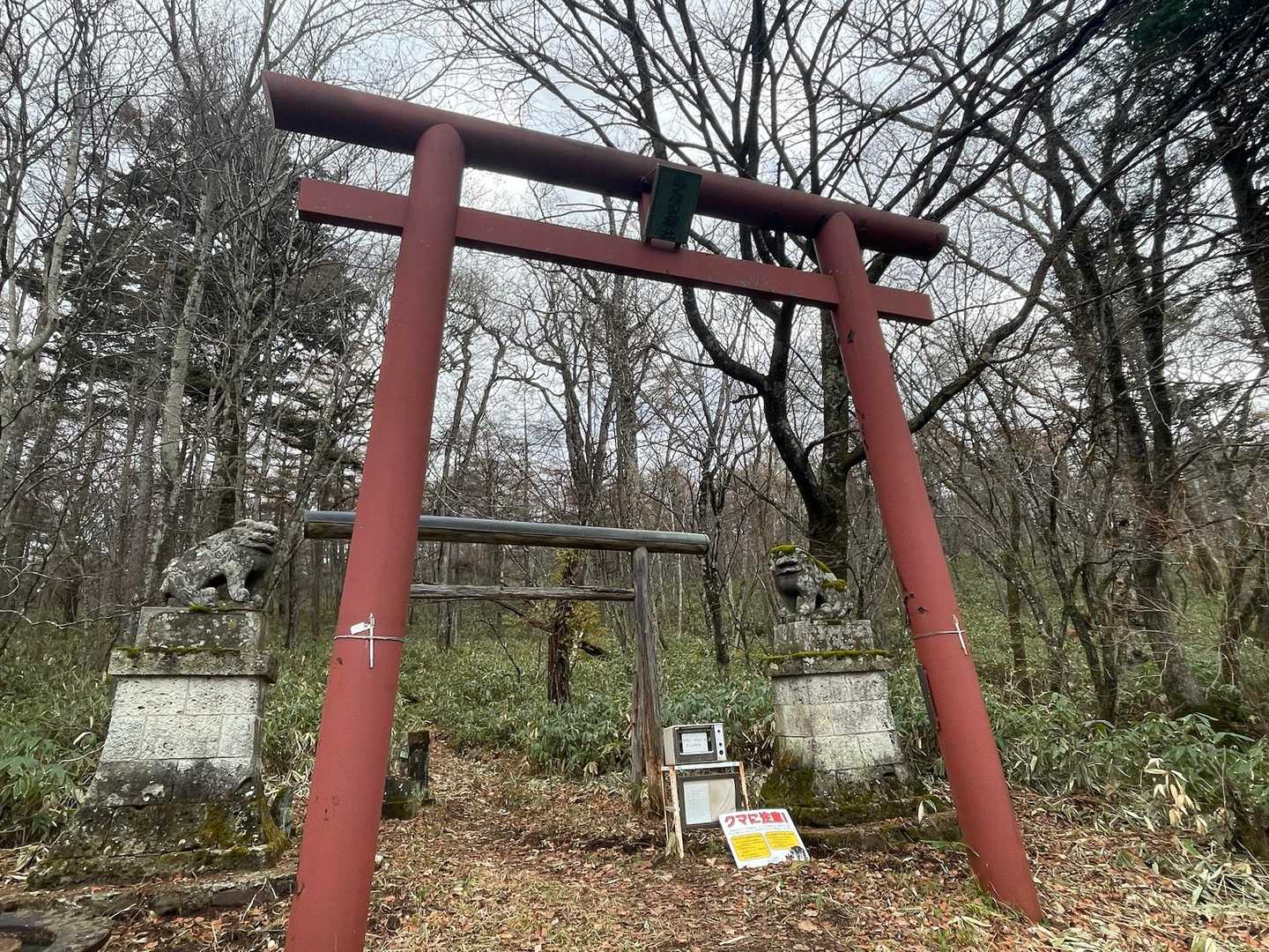 よくレポで見る鳥居⛩️