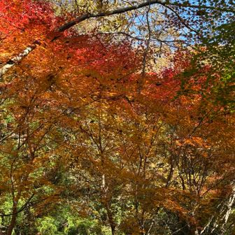 こんな感じ‼️
スマホはこれが限界‼️