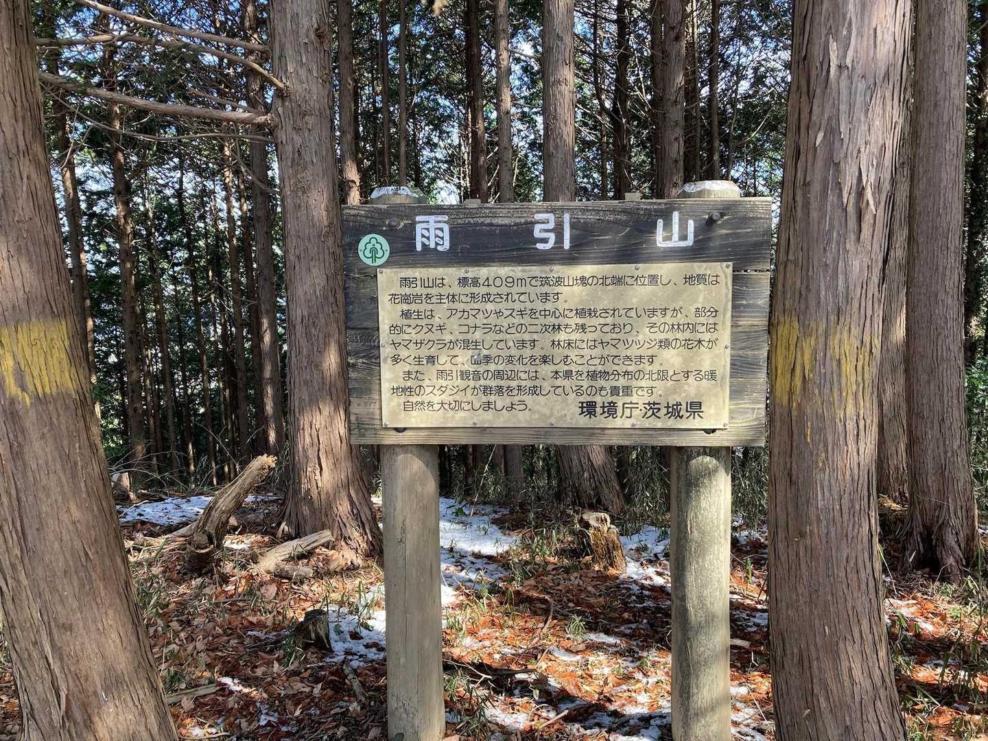 山頂着