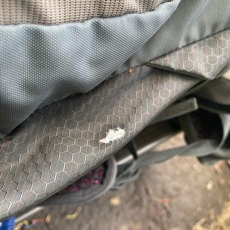 って

え？
また？

鳥さん
わたしって

そんなに
ウン（運）つけてあげたくなる
タイプ？