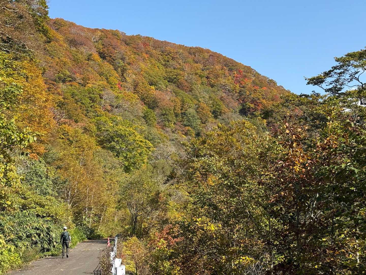 三ツ石山往復 | 山肌が真っ赤に染まる奇跡の全山紅葉、岩手山を望むパノラマ特等席の写真