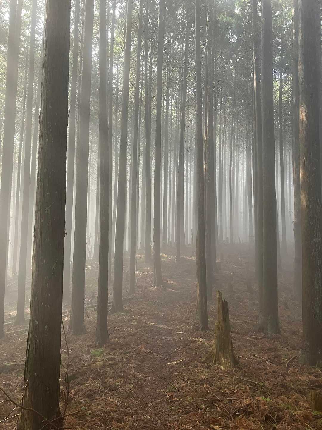 こういう感じ、好き