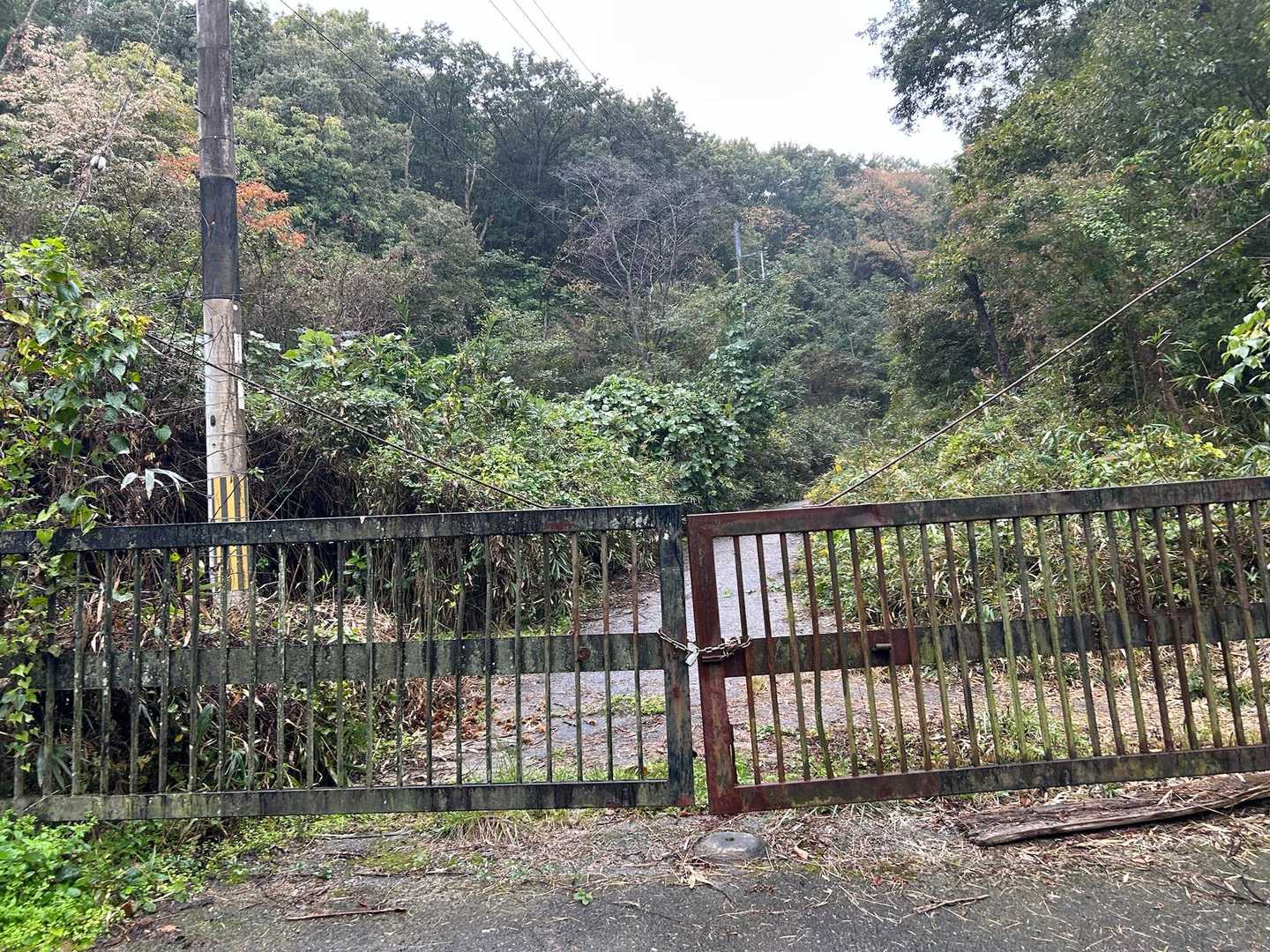 駐車場から進んで、旗振山へこの柵の脇から通って進む
いけないことしてるみたいでこそこそ通った