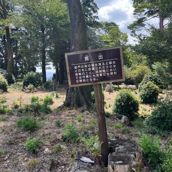 無かった