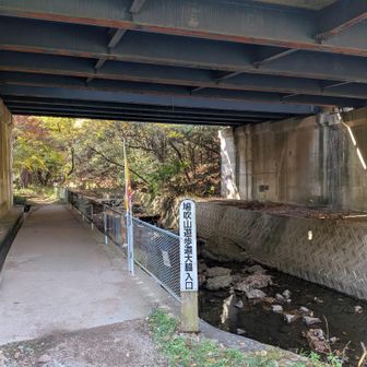 R41の下をくぐると、鳩吹山遊歩道大脇入口