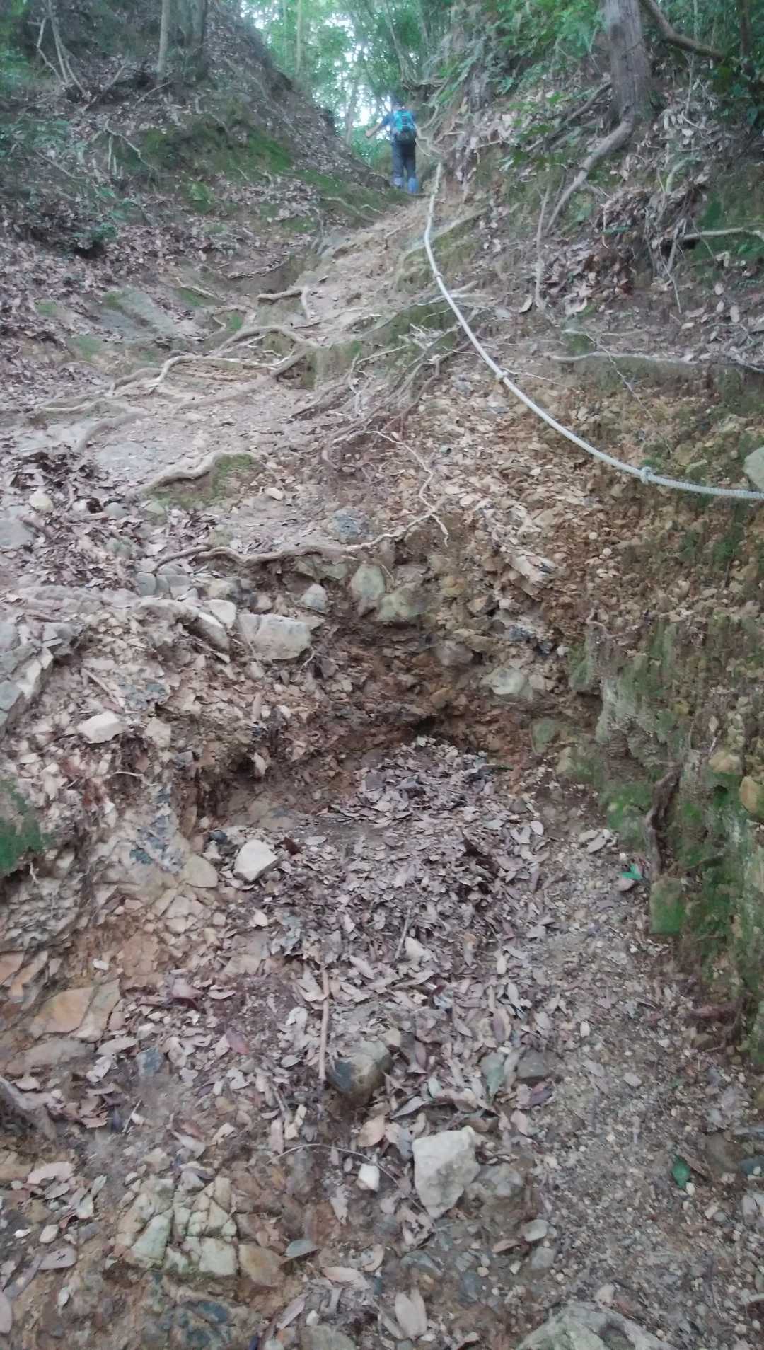 太郎丸嶽-次郎丸嶽-太郎丸・次郎丸岳登山口 縦走コースの写真