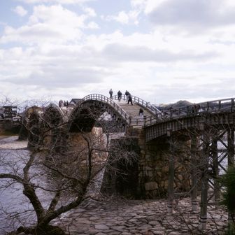 大好きな錦帯橋。
桜の時期は早朝に行けば人混みも少なく楽しめますよ。