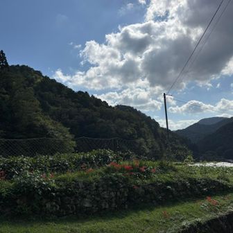 彼岸花とか栗とか、里山の秋を満喫