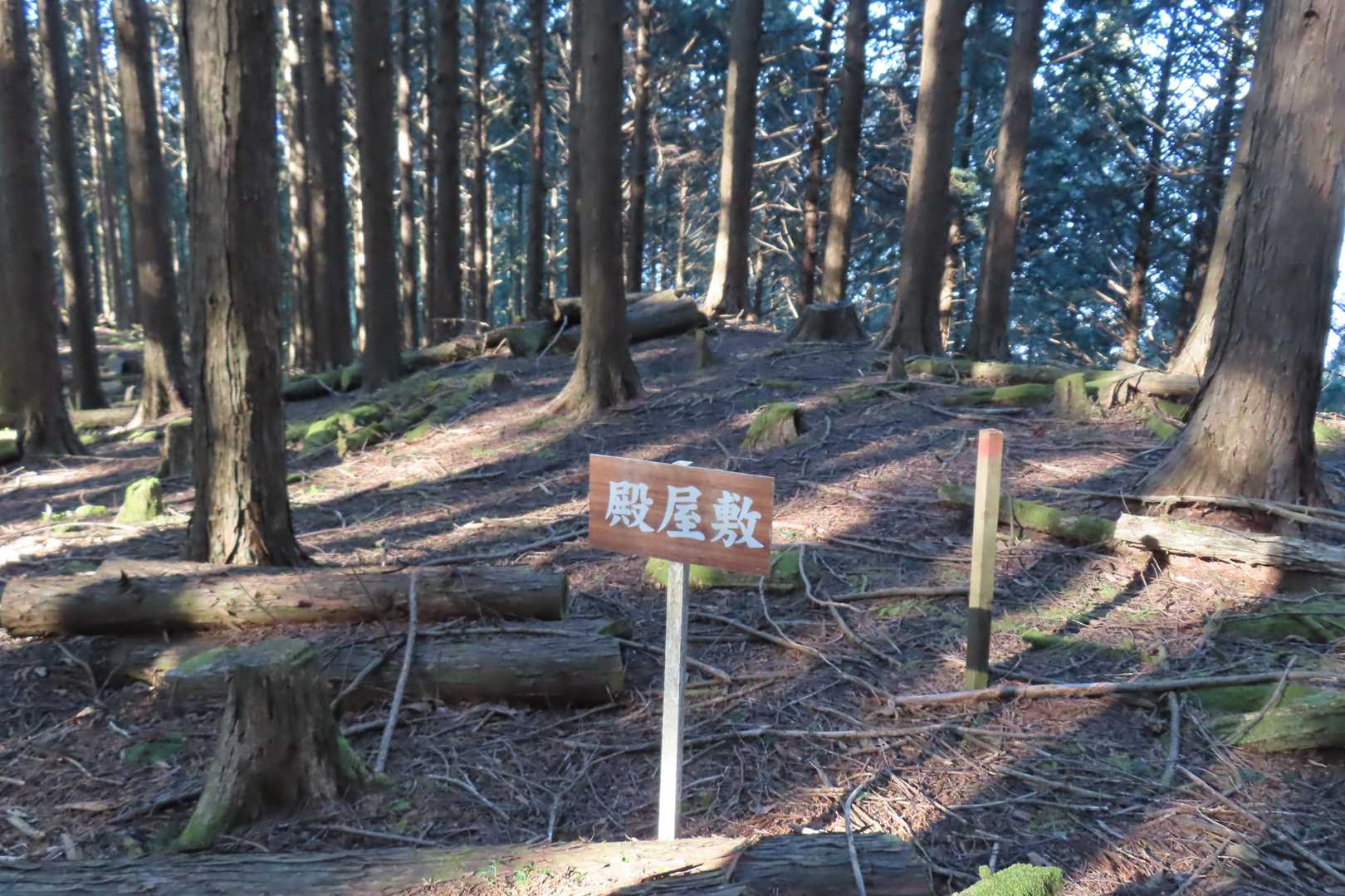 ここが山城の本丸。
他にも「清水砦」「帯郭」「門址」「空壕」など有りました。
こんな山深いところに築城するのもスゴイけど、ここまで攻めてくるのもスゴ過ぎる😱
