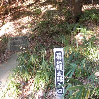 縦走路！入口まで舗装路歩き🚶